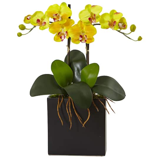 18.5&#x22; Double Mini Phalaenopsis Silk Orchid in Black Vase